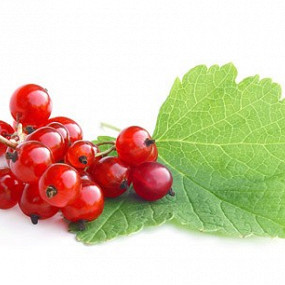 Изображение материала