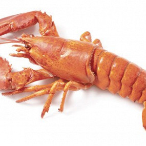 Изображение материала