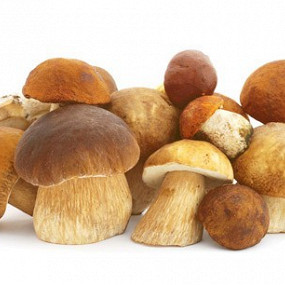 Изображение материала