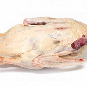 Изображение материала