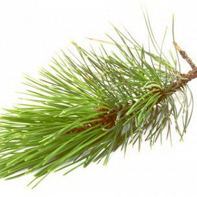 Изображение материала