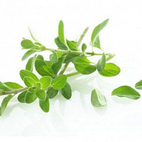 Изображение материала