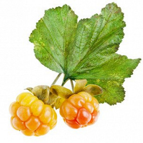 Изображение материала