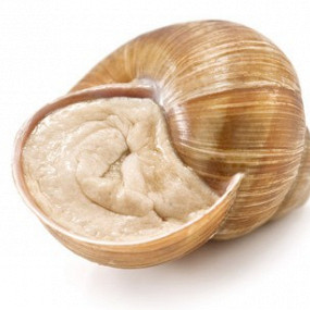 Изображение материала