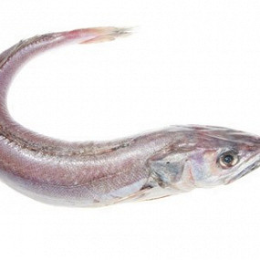 Изображение материала