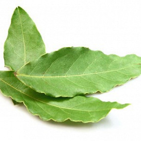 Изображение материала