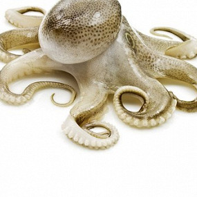 Изображение материала