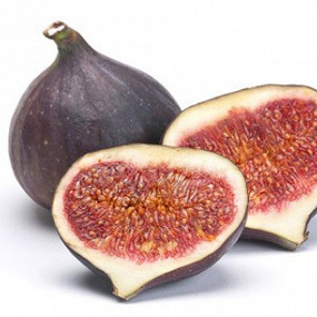 Изображение материала