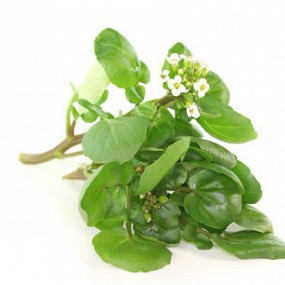 Изображение материала