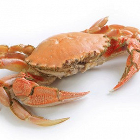 Изображение материала