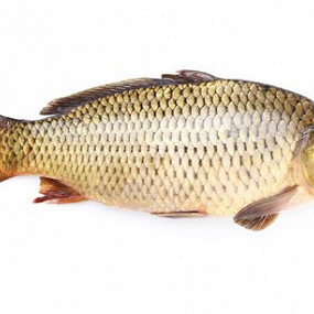 Изображение материала