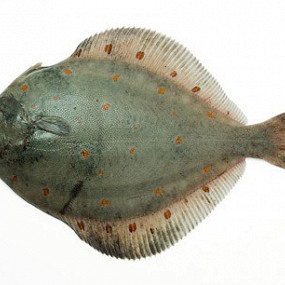 Изображение материала