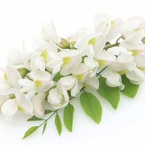 Изображение материала