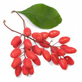 Изображение материала