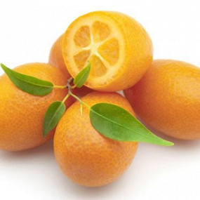 Изображение материала