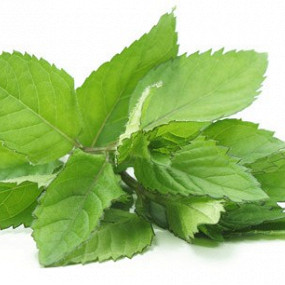 Изображение материала