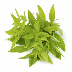 Изображение материала