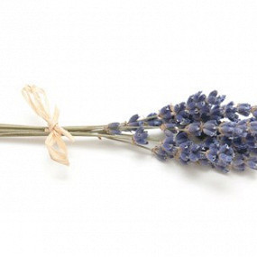 Изображение материала