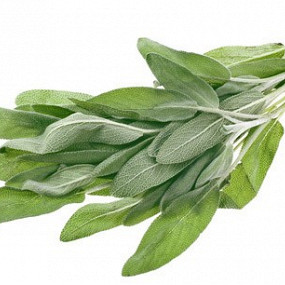 Изображение материала