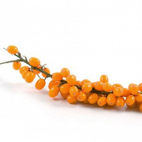 Изображение материала