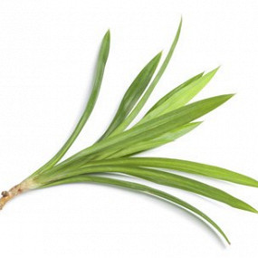 Изображение материала