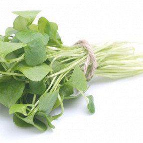 Изображение материала