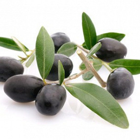 Изображение материала