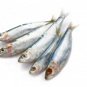 Изображение материала