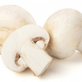 Изображение материала