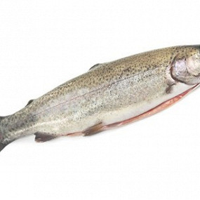 Изображение материала