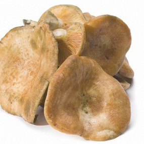 Изображение материала