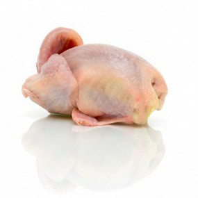 Изображение материала