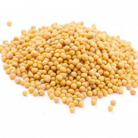 Изображение материала