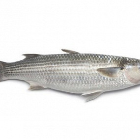 Изображение материала