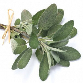 Изображение материала