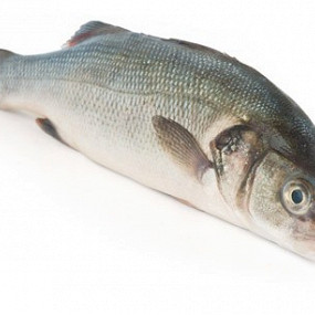 Изображение материала