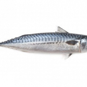 Изображение материала