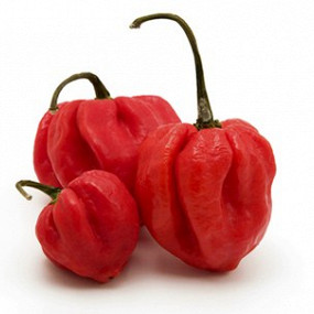 Изображение материала