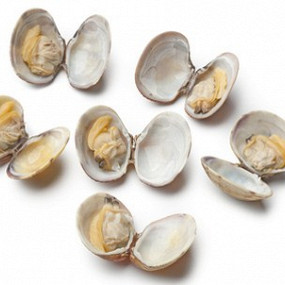 Изображение материала