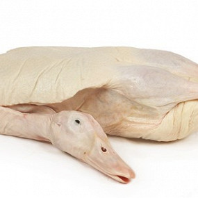 Изображение материала