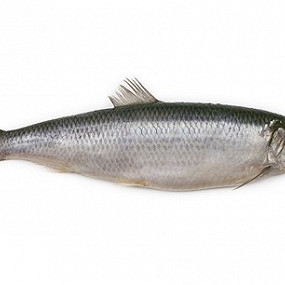 Изображение материала