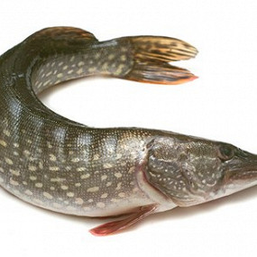 Изображение материала