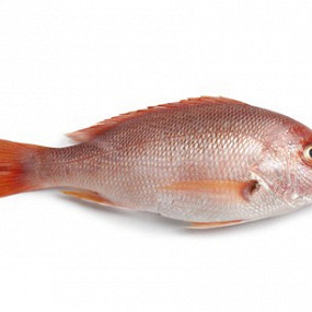 Изображение материала