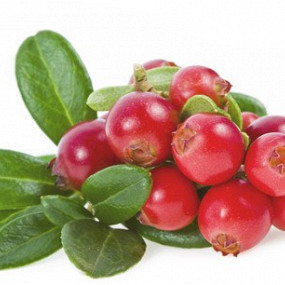 Изображение материала