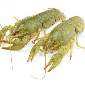 Изображение материала