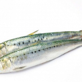 Изображение материала