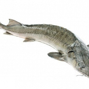 Изображение материала