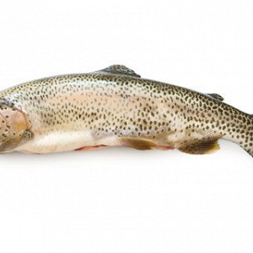 Изображение материала