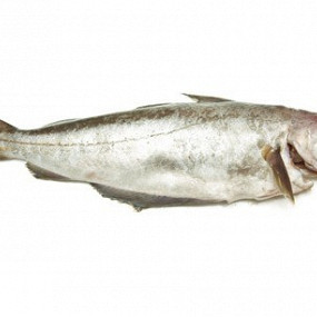 Изображение материала