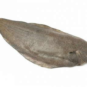 Изображение материала